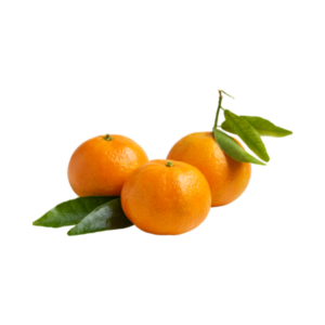 Mandarines à feuilles locales