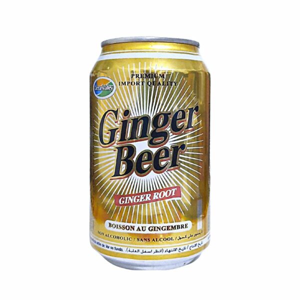 Bière sans alcool cannette Ginger Beer 33cl