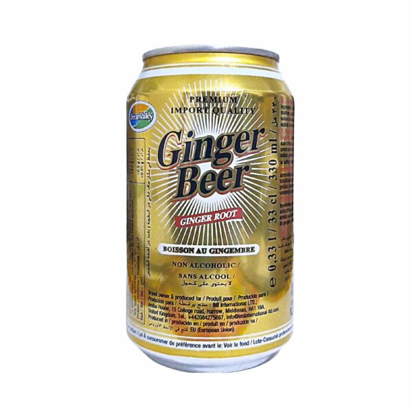 Bière sans alcool cannette Ginger Beer 33cl sans alcool